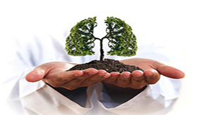 冬季如何养肺？