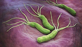 幽门螺旋杆菌感染者，还可以喝酒吗？