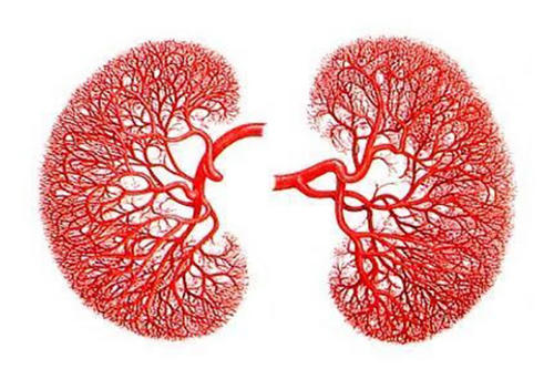 肾癌的治疗方法有哪些啊？