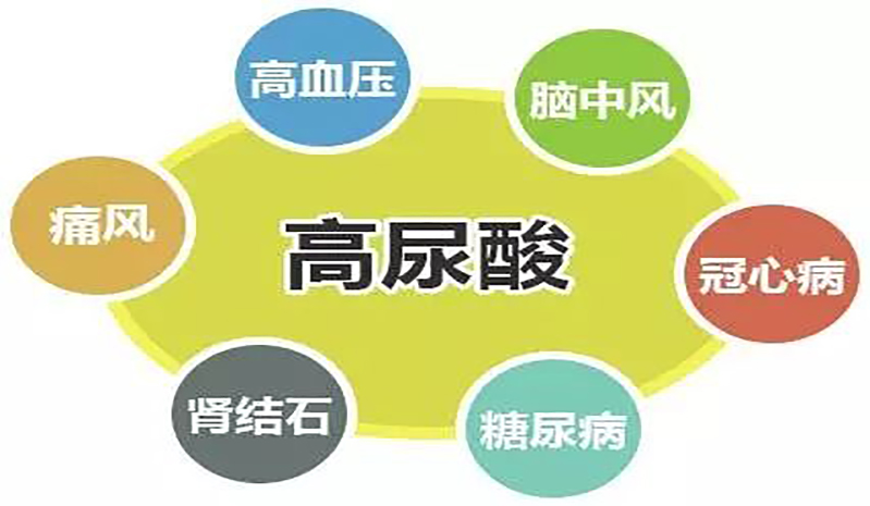 除了痛风，高尿酸还有什么危害？如何控制尿酸？