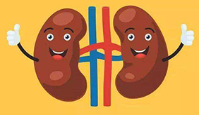 冬季养藏，补肾为先！教你护肾小动作