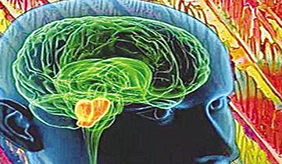 疫情期间憋在家里，睡觉太多对大脑、心脏都有坏处，还会引起肥胖 