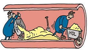 运动是天然的药！常做3种运动，胆固醇自己往下掉