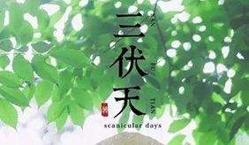 三伏将至！这是最能把身体的寒气排出来的40天！错过等一年！