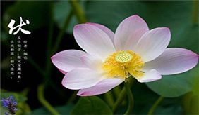 伏天健康问题多，别把中风错当中暑！