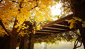 秋季怎么养生？专家都不会告诉你的秘诀！