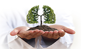 初秋养肺注意这五点