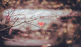 “换季式”降温来了，防寒保暖做起来！