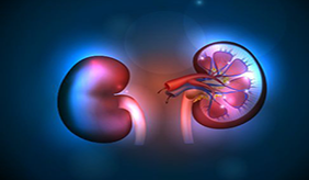 这项指标一高，全身都遭罪！专家教你预防“第四高”