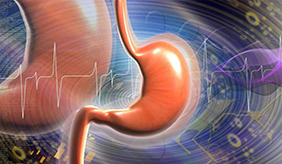 调养脾胃，需养成良好饮食习惯