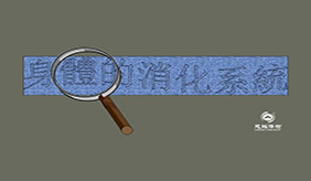 调整饮食门道多，教你呵护消化系统健康