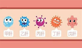 当心戊肝病毒！剩菜反复冷藏加热风险大