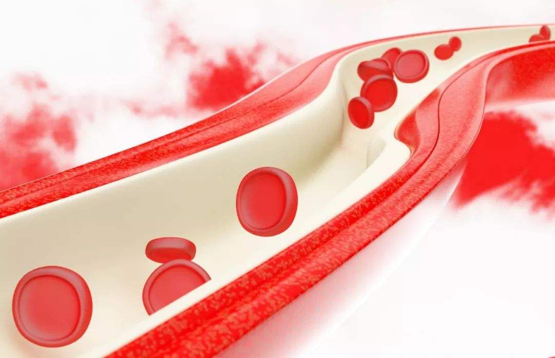 290e76c1c642a1e397f2277c67c388f6